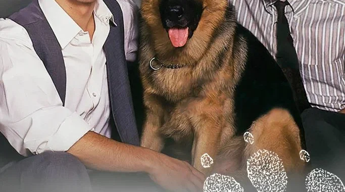 Комиссар Рекс Комиссар Рекс